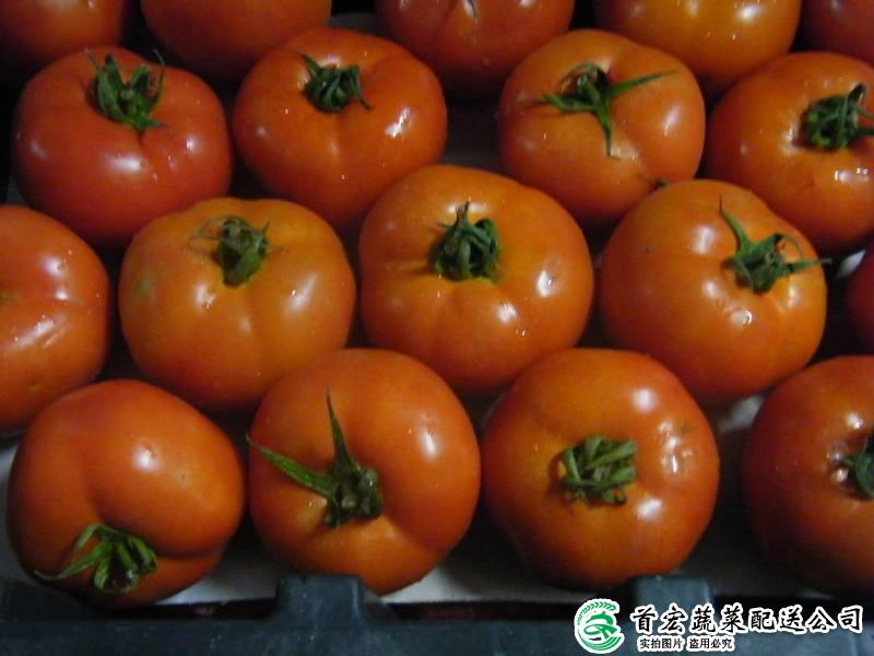 高埗蔬菜糧油