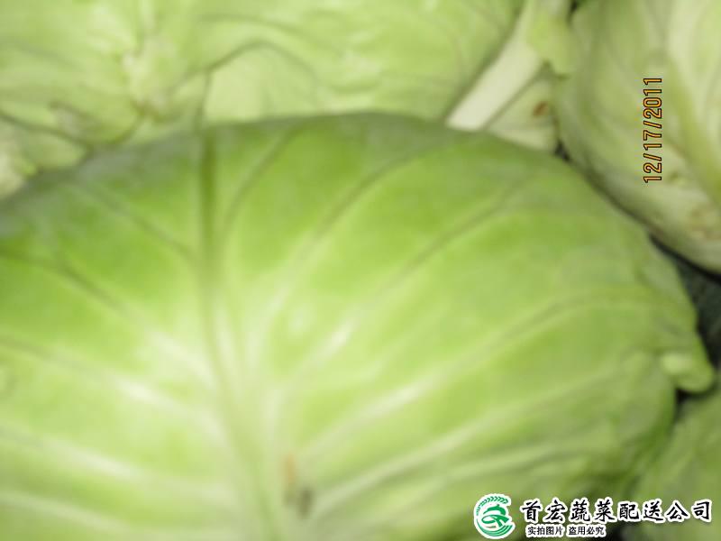 南城農(nóng)產(chǎn)品公司