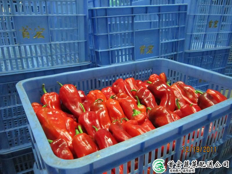 石龍蔬菜配送中心流程