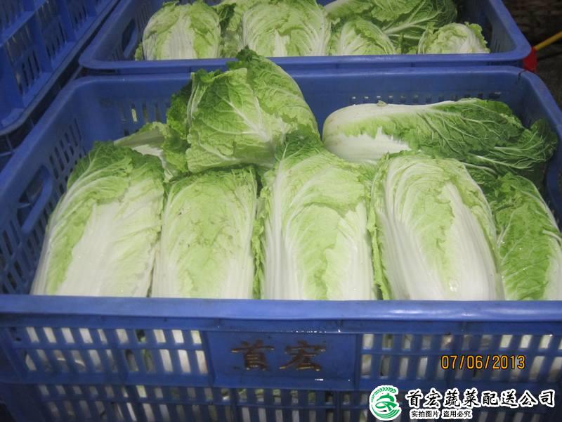 望牛墩送菜服務(wù)公司